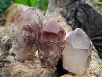 Natural Red Hematoid Quartz Crystals x 24 From Karoi, Zimbabwe