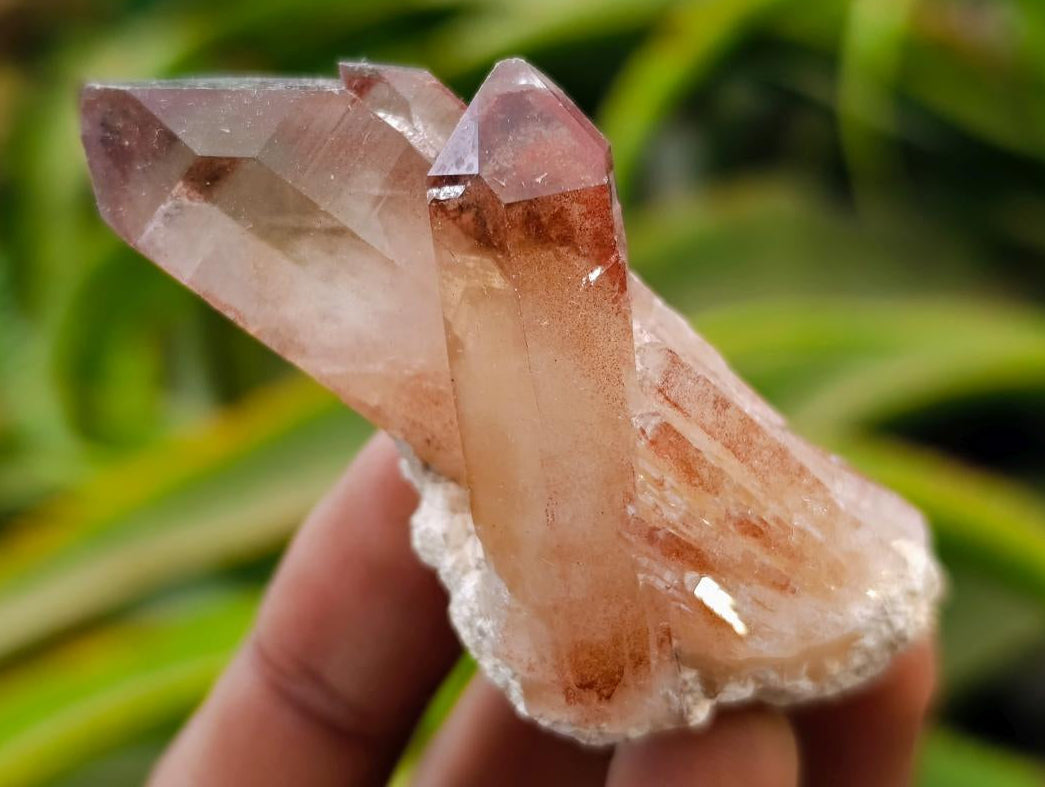 Natural Red Hematoid Quartz Crystals x 24 From Karoi, Zimbabwe