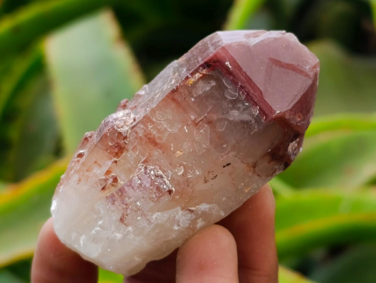 Natural Red Hematoid Quartz Crystals x 24 From Karoi, Zimbabwe