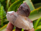 Natural Red Hematoid Quartz Crystals x 24 From Karoi, Zimbabwe