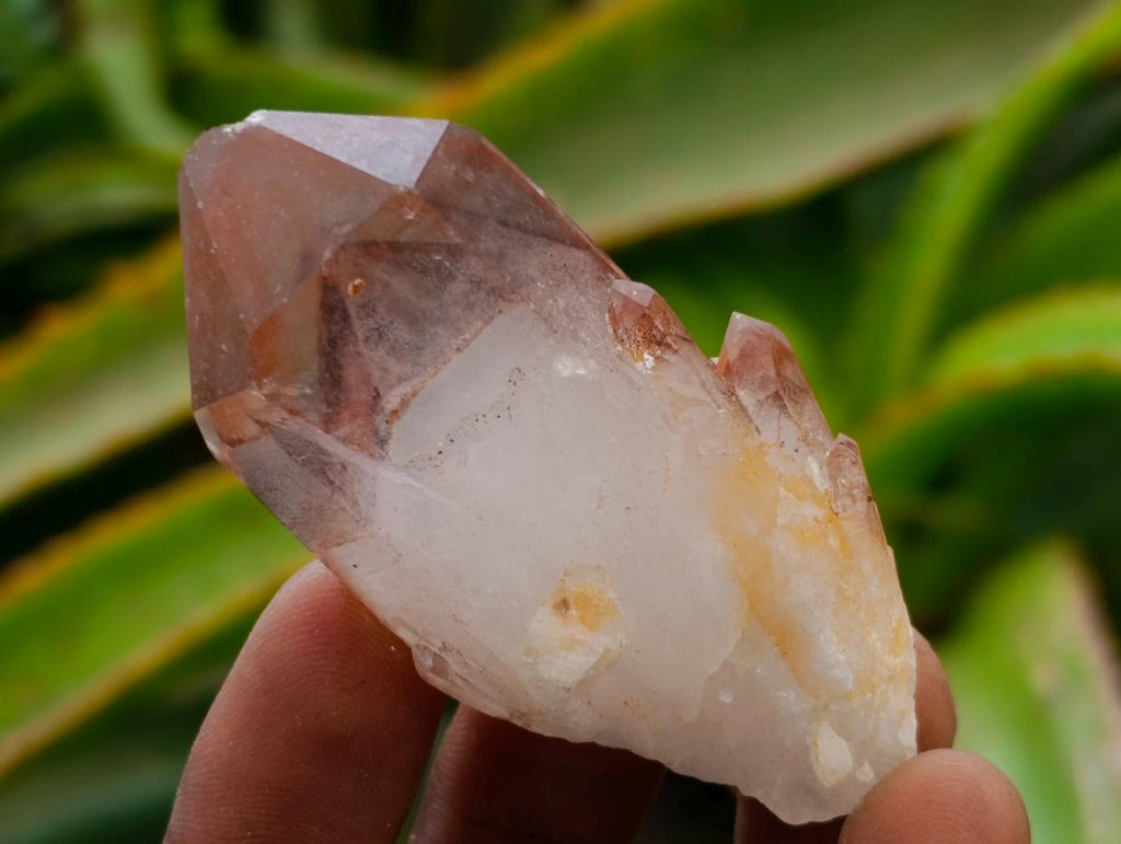 Natural Red Hematoid Quartz Crystals x 24 From Karoi, Zimbabwe