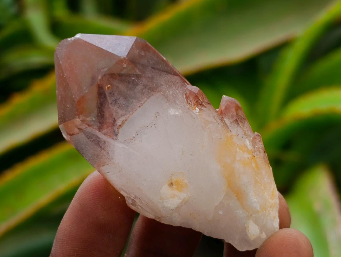 Natural Red Hematoid Quartz Crystals x 24 From Karoi, Zimbabwe
