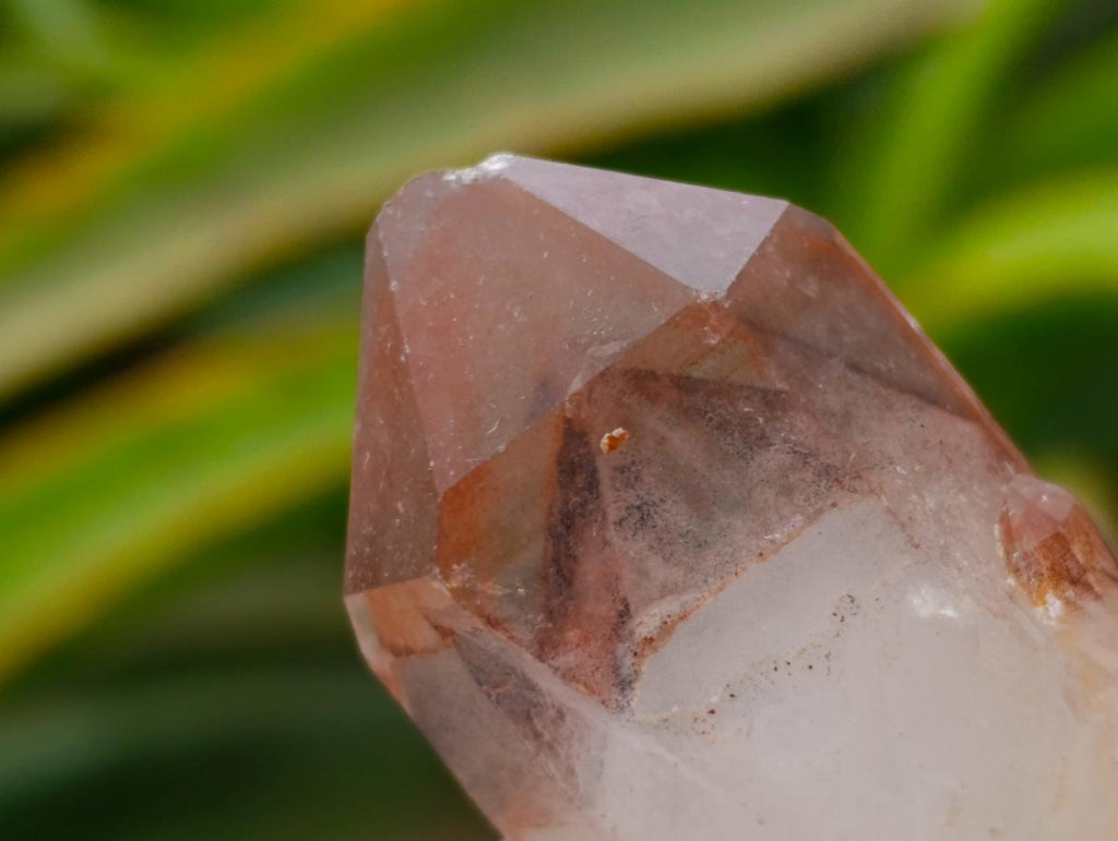 Natural Red Hematoid Quartz Crystals x 24 From Karoi, Zimbabwe