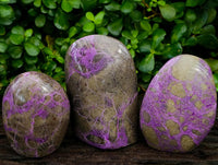 Polished Stichtite Standing Free Forms x 3 From Barberton, South Africa