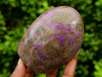 Polished Stichtite Standing Free Forms x 3 From Barberton, South Africa