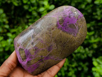 Polished Stichtite Standing Free Forms x 3 From Barberton, South Africa