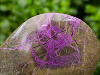 Polished Stichtite Standing Free Forms x 3 From Barberton, South Africa