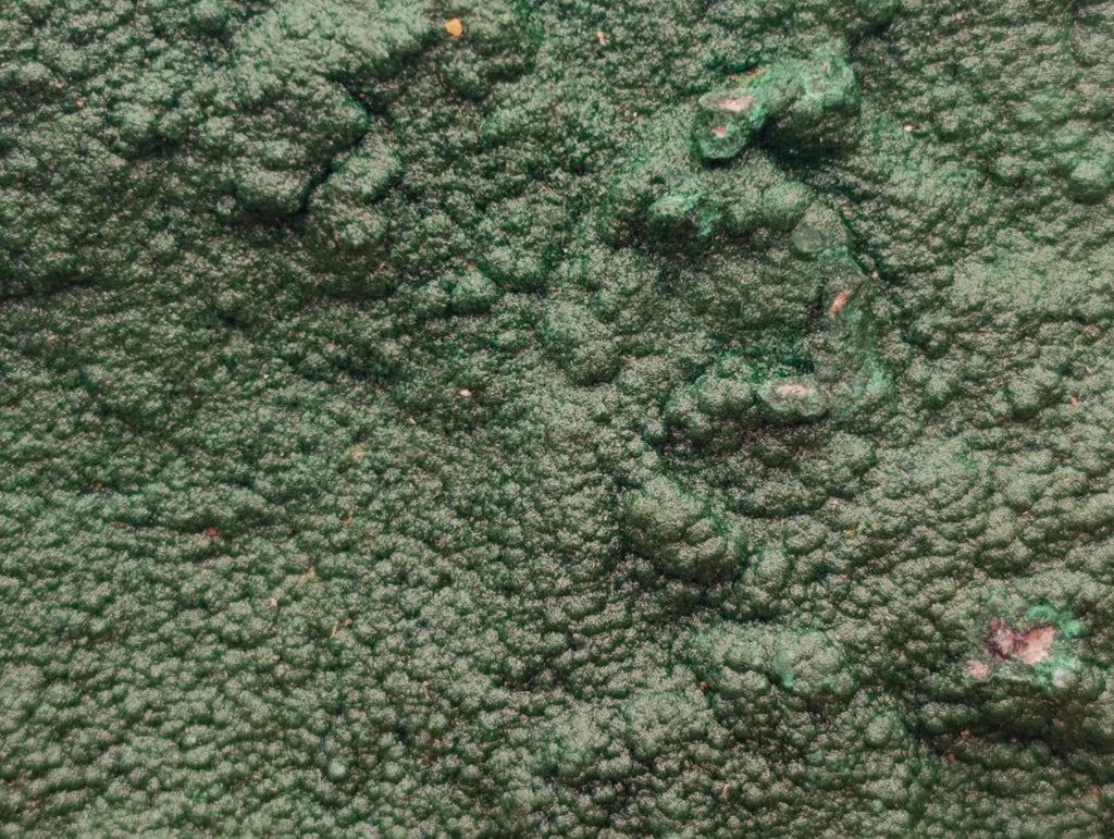 Natural Crystalline Malachite Specimen x 1 From Tenke Fungurume, Congo