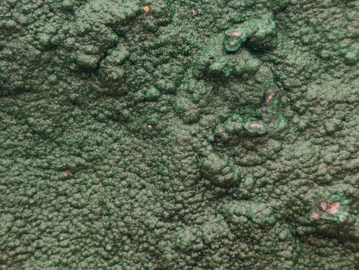 Natural Crystalline Malachite Specimen x 1 From Tenke Fungurume, Congo