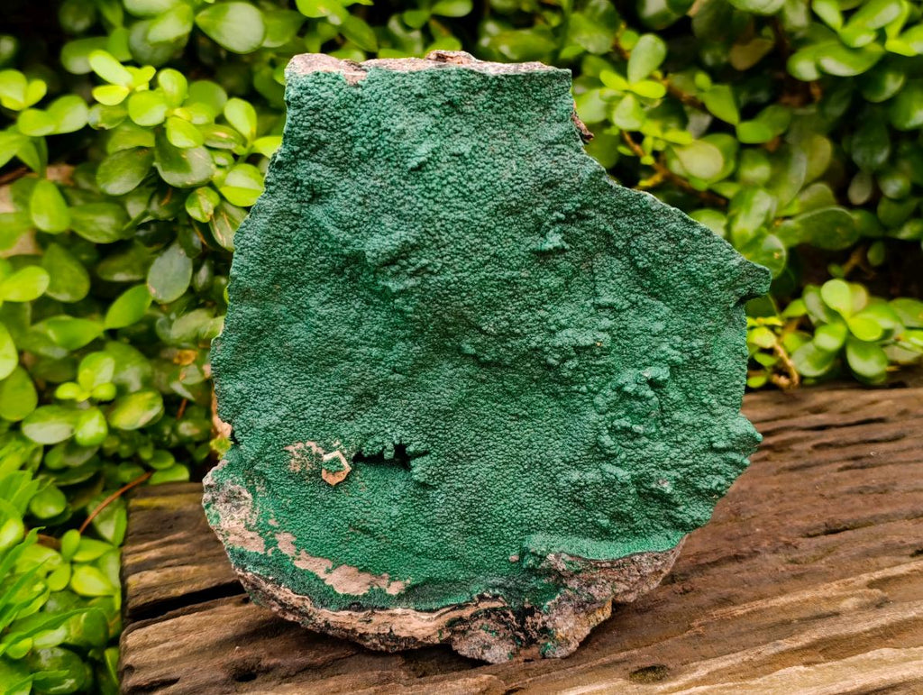 Natural Crystalline Malachite Specimen x 1 From Tenke Fungurume, Congo