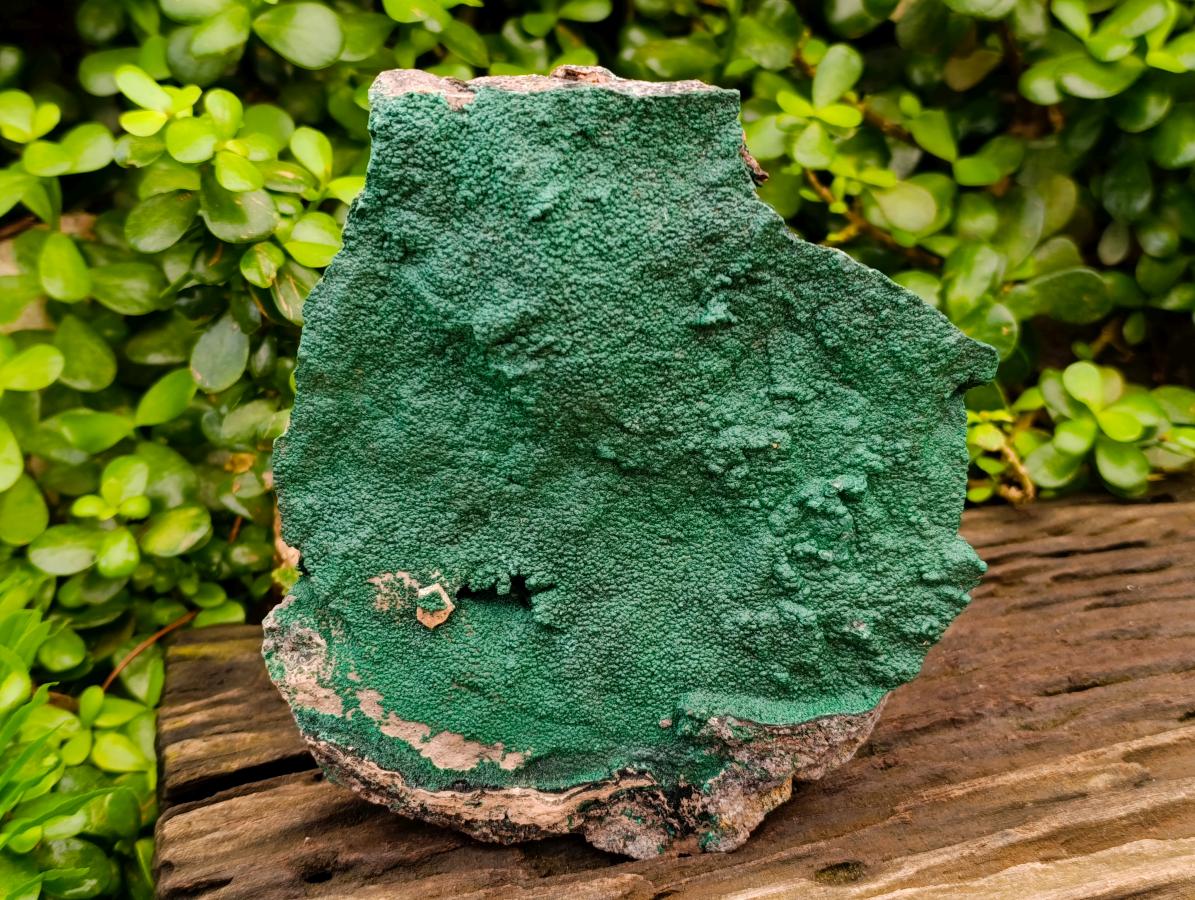 Natural Crystalline Malachite Specimen x 1 From Tenke Fungurume, Congo