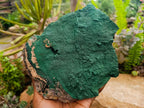 Natural Crystalline Malachite Specimen x 1 From Tenke Fungurume, Congo