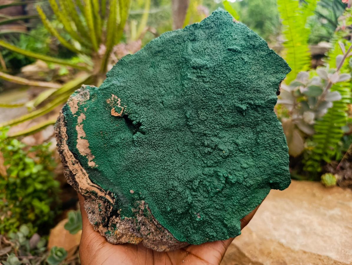 Natural Crystalline Malachite Specimen x 1 From Tenke Fungurume, Congo