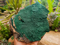 Natural Crystalline Malachite Specimen x 1 From Tenke Fungurume, Congo
