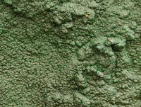 Natural Crystalline Malachite Specimen x 1 From Tenke Fungurume, Congo