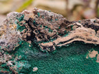Natural Crystalline Malachite Specimen x 1 From Tenke Fungurume, Congo