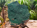 Natural Crystalline Malachite Specimen x 1 From Tenke Fungurume, Congo