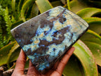 Polished Labradorite Standing Free Form x 1 From Tulear, Madagascar