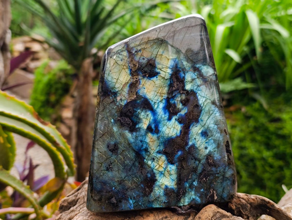 Polished Labradorite Standing Free Form x 1 From Tulear, Madagascar