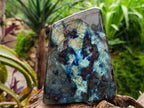 Polished Labradorite Standing Free Form x 1 From Tulear, Madagascar