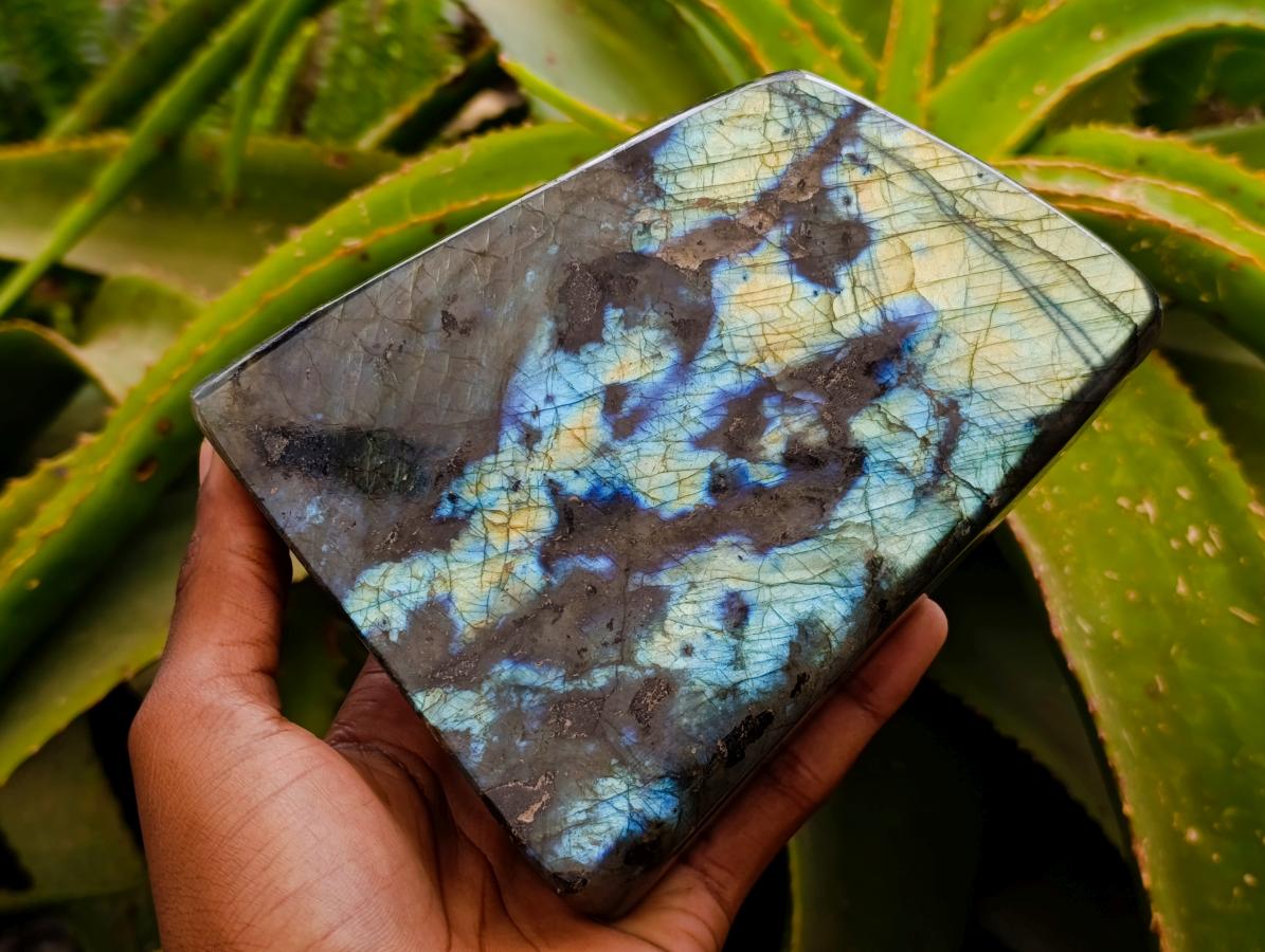 Polished Labradorite Standing Free Form x 1 From Tulear, Madagascar