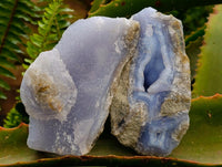Natural Blue Lace Agate Geode Specimens x 21 From Nsanje, Malawi