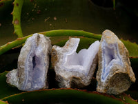 Natural Blue Lace Agate Geode Specimens x 21 From Nsanje, Malawi