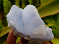 Natural Blue Lace Agate Geode Specimens x 21 From Nsanje, Malawi