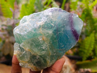 Natural Watermelon Fluorite Cobbed Specimens x 3 From Uis, Namibia