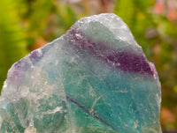 Natural Watermelon Fluorite Cobbed Specimens x 3 From Uis, Namibia