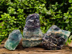 Natural Watermelon Fluorite Cobbed Specimens x 3 From Uis, Namibia