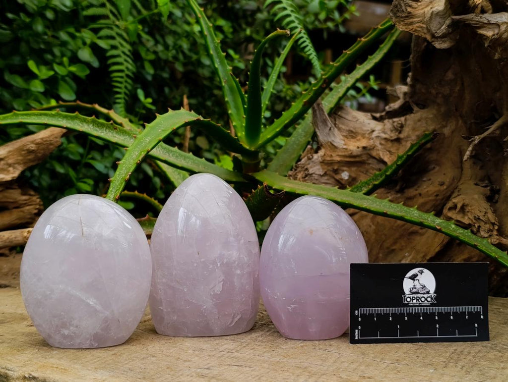 Polished Blue Rose Quartz Standing Free Forms x 3 From Madagascar