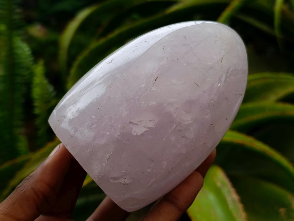 Polished Blue Rose Quartz Standing Free Forms x 3 From Madagascar