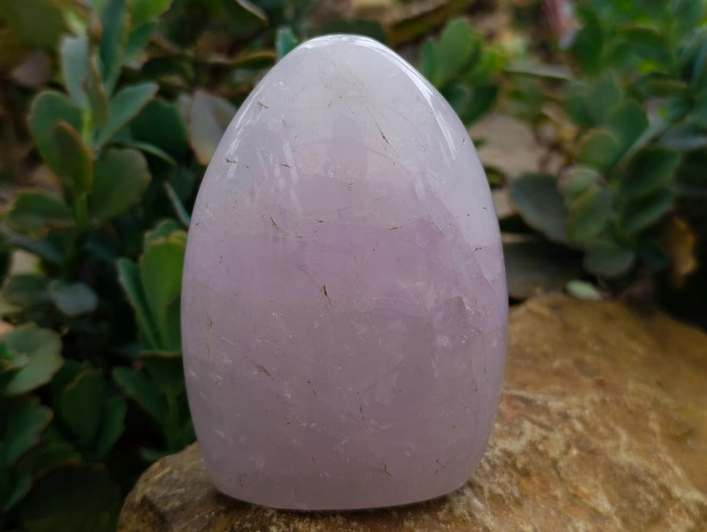 Polished Blue Rose Quartz Standing Free Forms x 3 From Madagascar