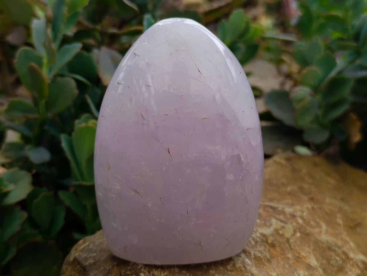Polished Blue Rose Quartz Standing Free Forms x 3 From Madagascar