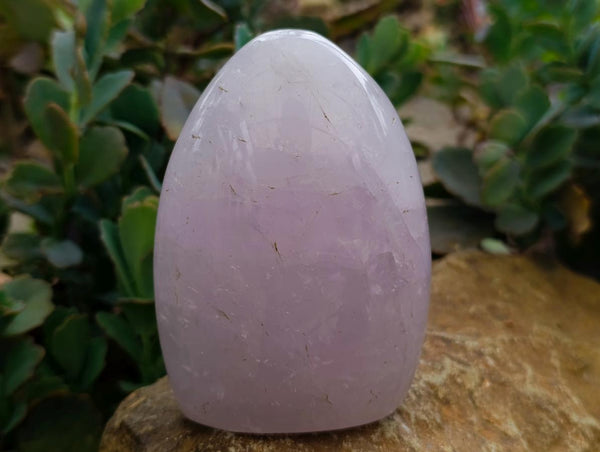 Polished Blue Rose Quartz Standing Free Forms x 3 From Madagascar