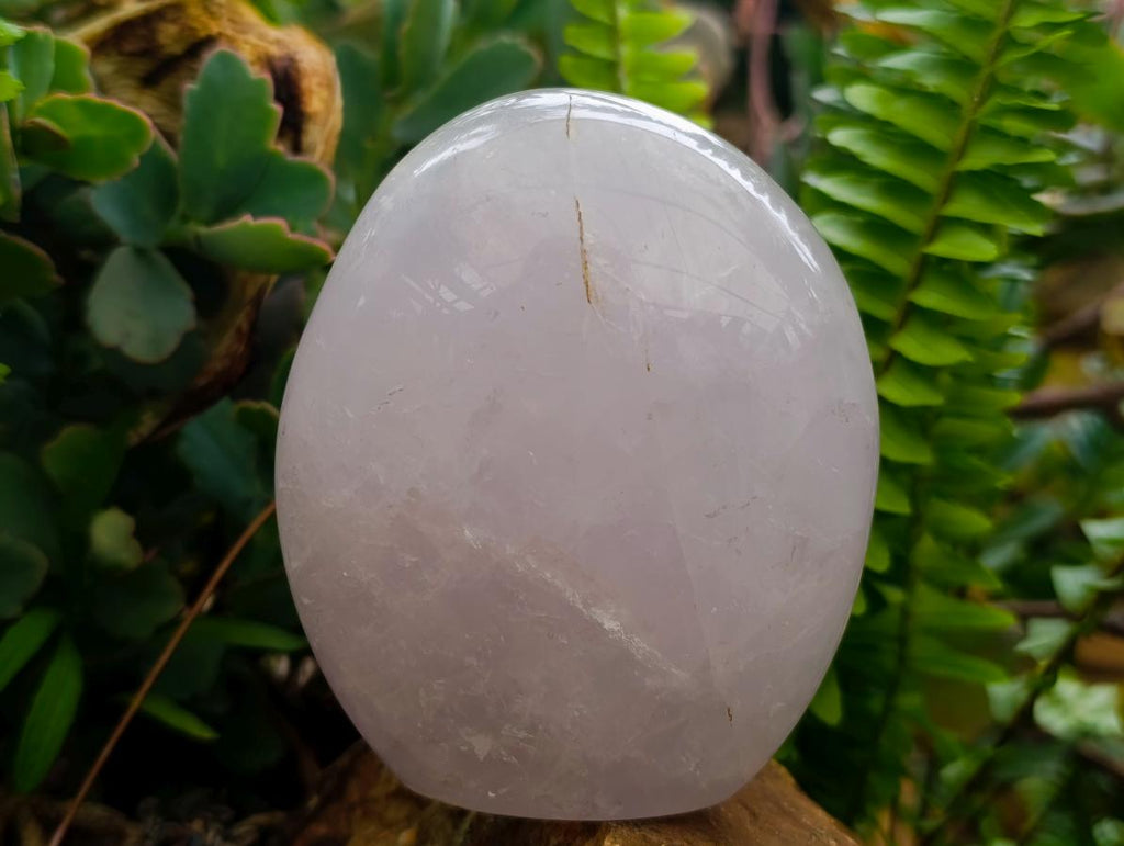 Polished Blue Rose Quartz Standing Free Forms x 3 From Madagascar