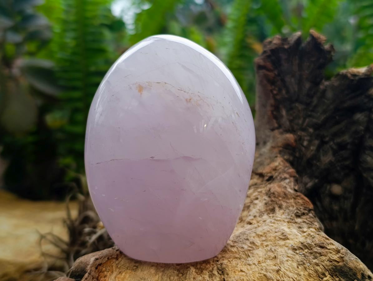 Polished Blue Rose Quartz Standing Free Forms x 3 From Madagascar