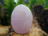 Polished Blue Rose Quartz Standing Free Forms x 3 From Madagascar