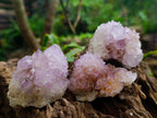 Natural Sunburst Amethyst Spirit Clusters x 12 From Boekenhouthoek, South Africa