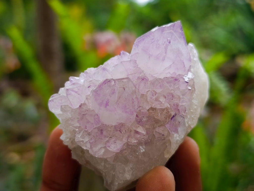 Natural Sunburst Amethyst Spirit Clusters x 12 From Boekenhouthoek, South Africa