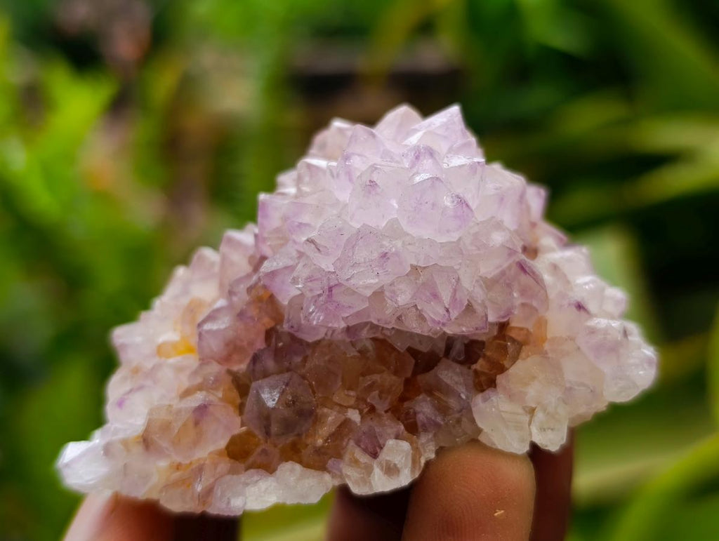 Natural Sunburst Amethyst Spirit Clusters x 12 From Boekenhouthoek, South Africa