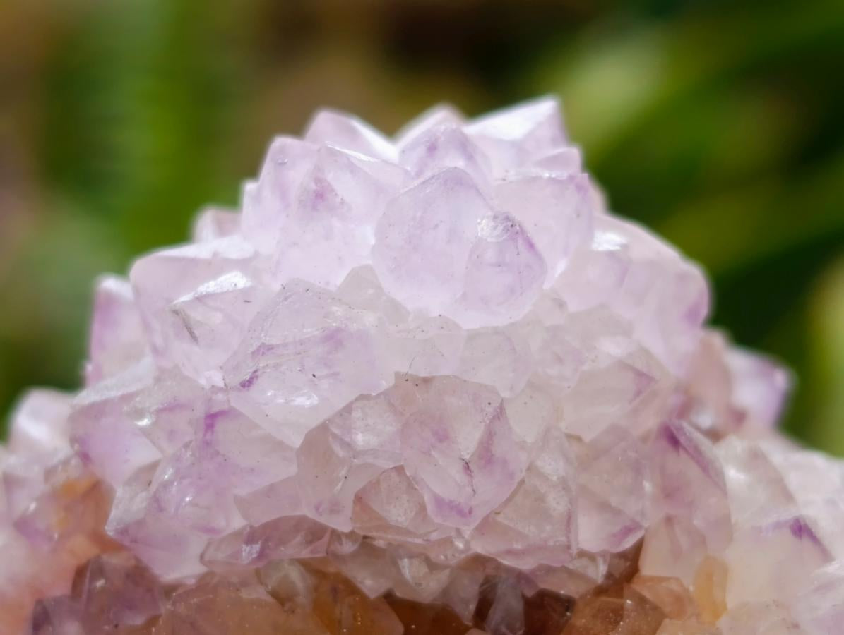 Natural Sunburst Amethyst Spirit Clusters x 12 From Boekenhouthoek, South Africa