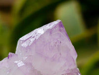Natural Sunburst Amethyst Spirit Clusters x 12 From Boekenhouthoek, South Africa