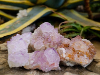 Natural Sunburst Amethyst Spirit Clusters x 12 From Boekenhouthoek, South Africa