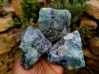 Natural Watermelon Fluorite Cobbed Specimens x 12 From Uis, Namibia