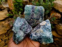 Natural Watermelon Fluorite Cobbed Specimens x 12 From Uis, Namibia