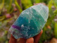 Natural Watermelon Fluorite Cobbed Specimens x 12 From Uis, Namibia