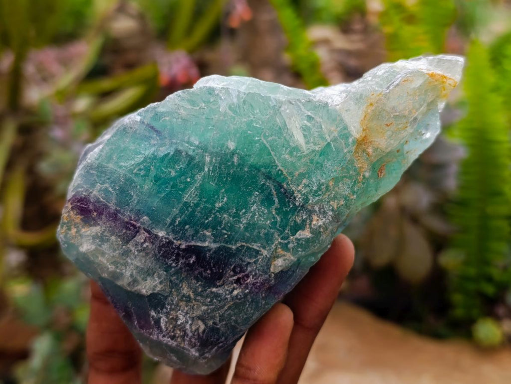Natural Watermelon Fluorite Cobbed Specimens x 12 From Uis, Namibia
