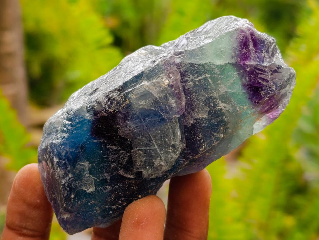 Natural Watermelon Fluorite Cobbed Specimens x 12 From Uis, Namibia